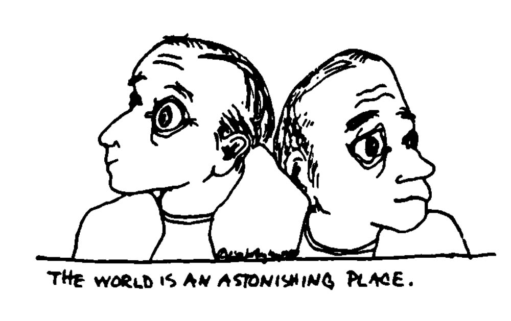 Two wide eyed men, captioned 'The world is an astonishing place'