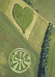 Crop circle