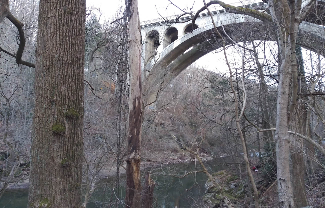 Bridge over Wissahickon Creek